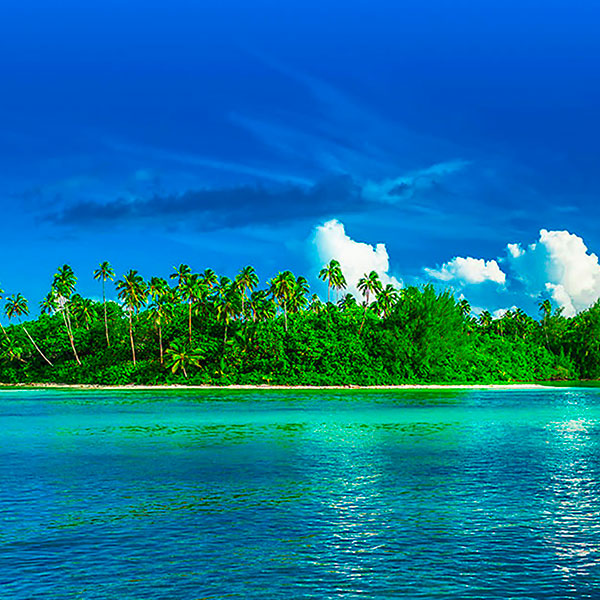 Rarotonga Island